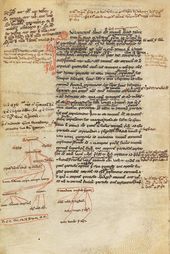  Aristoteles - Logica vetus, Pergamenthandschrift - Altre immagini