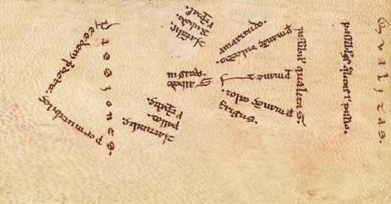  Aristoteles - Logica vetus, Pergamenthandschrift - Altre immagini