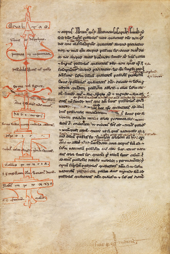  Aristoteles - Logica vetus, Pergamenthandschrift - Altre immagini