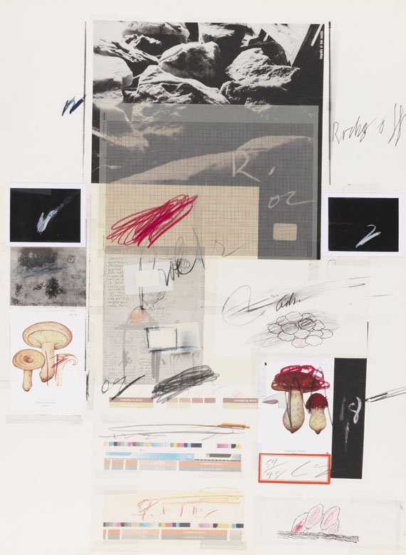 Cy Twombly - Natural History Part I, Mushrooms - Altre immagini