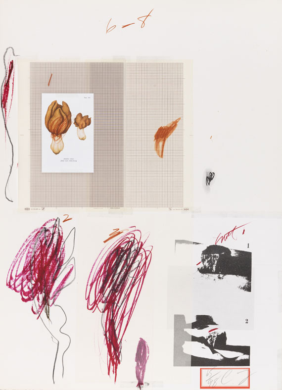Cy Twombly - Natural History Part I, Mushrooms - Altre immagini