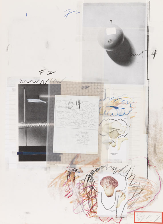 Cy Twombly - Natural History Part I, Mushrooms - Altre immagini