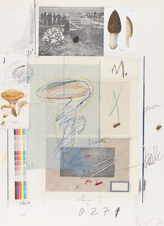 Cy Twombly - Natural History Part I, Mushrooms - Altre immagini