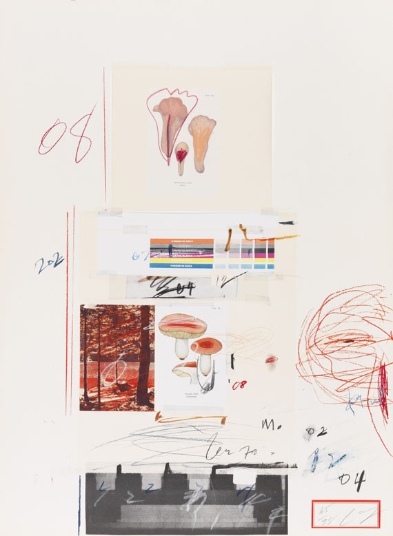 Cy Twombly - Natural History Part I, Mushrooms - Altre immagini
