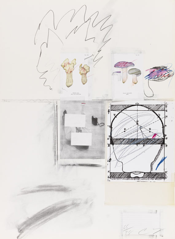 Cy Twombly - Natural History Part I, Mushrooms - Altre immagini