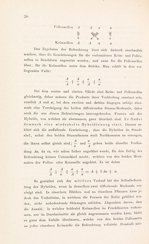 Gregor Mendel - Versuche über Pflanzen-Hybriden - Altre immagini