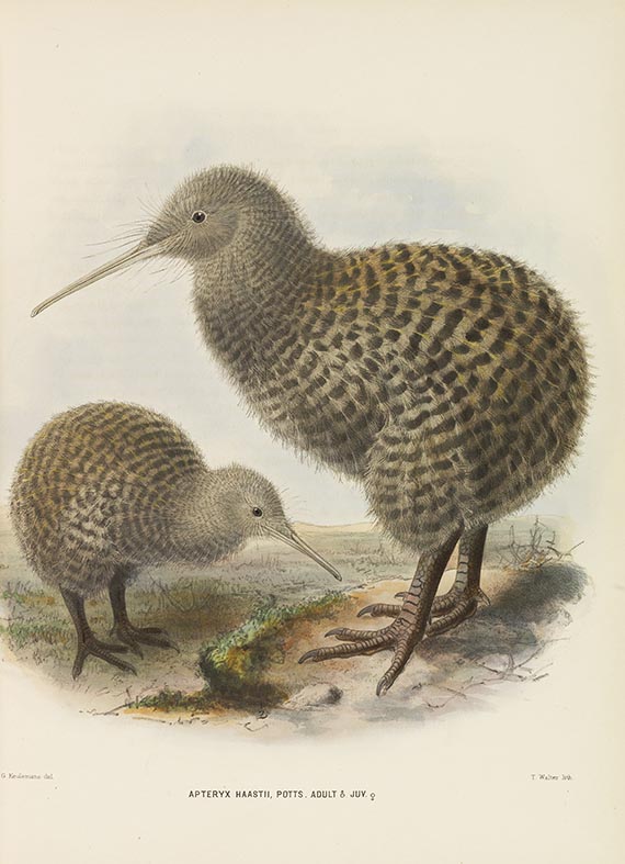George Dawson Rowley - Ornithological Miscellany. 3 Bände - Altre immagini