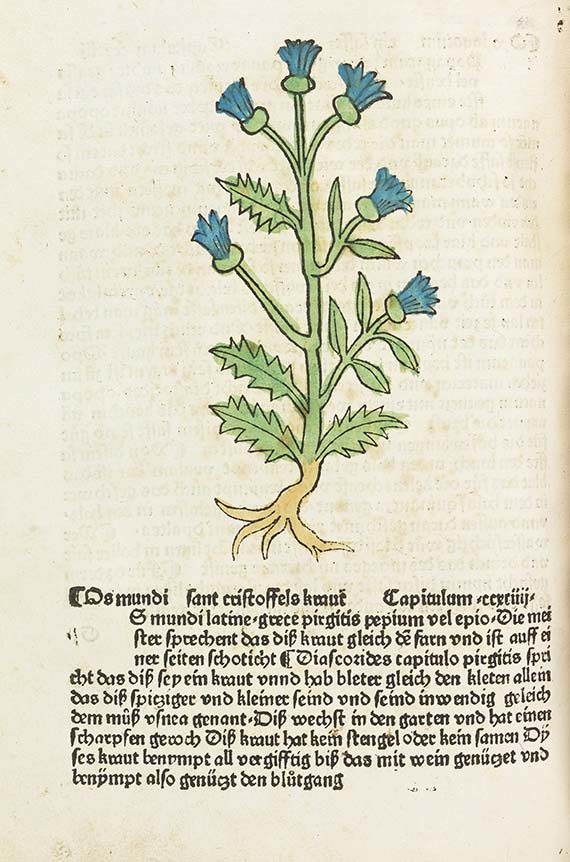   - Gart der Gesundheit, Augsburg 1485 - Altre immagini