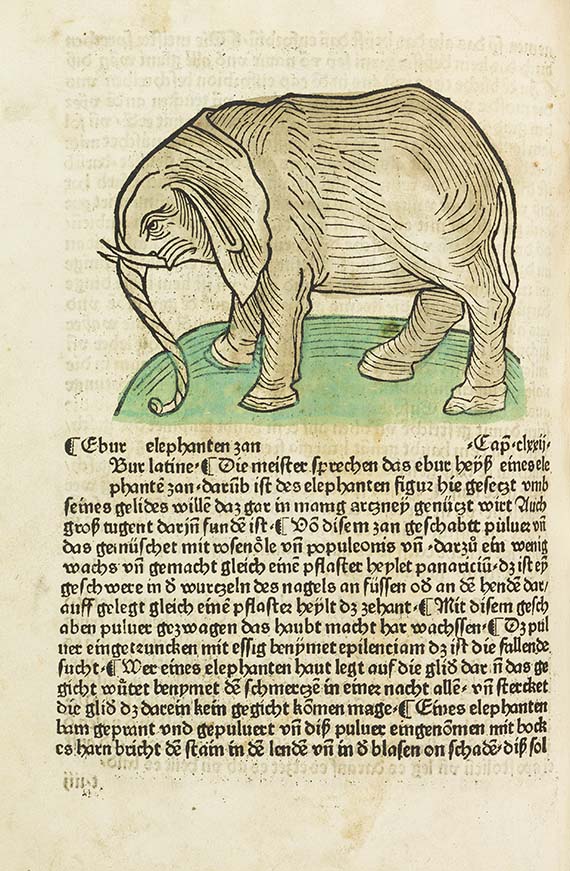   - Gart der Gesundheit, Augsburg 1485