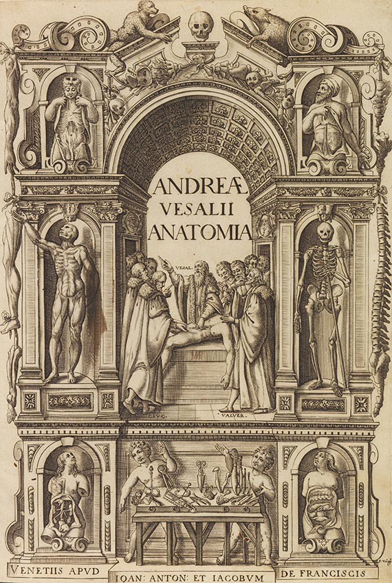 Andreas Vesalius - Anatomia - Altre immagini