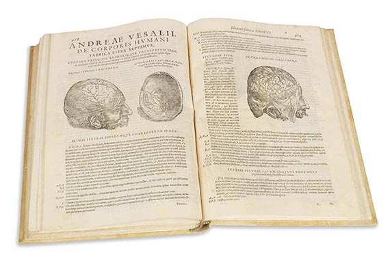 Andreas Vesalius - Anatomia - Altre immagini