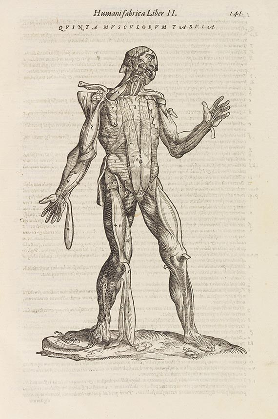 Andreas Vesalius - Anatomia