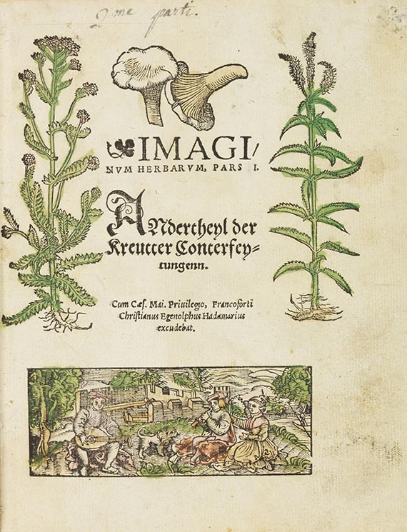 Christoph Egenolph - Herbarum imagines vivae