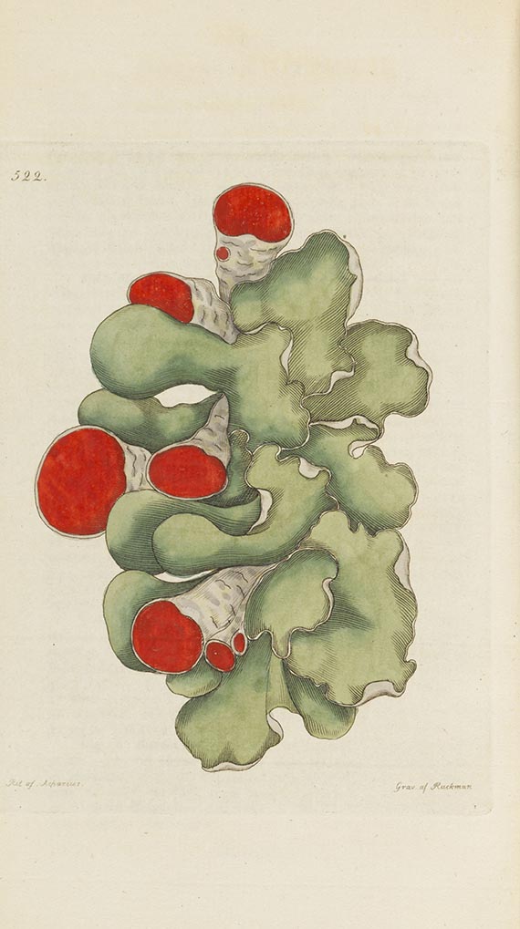 Johann Wilhelm Palmstruch - Svensk Botanik - Altre immagini