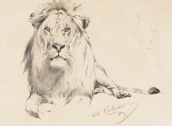 Wilhelm Kuhnert - Studie eines Löwen