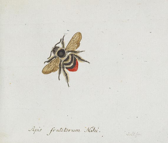 Georg Wolfgang Franz Panzer - Faunae insectorum Germanicae Initia. 190 Hefte und Index in 51 Bänden. - Altre immagini