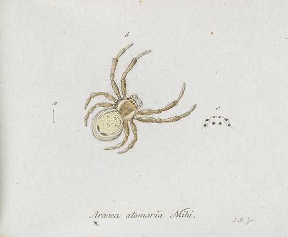 Georg Wolfgang Franz Panzer - Faunae insectorum Germanicae Initia. 190 Hefte und Index in 51 Bänden. - Altre immagini