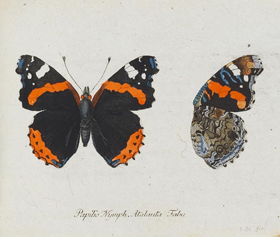 Georg Wolfgang Franz Panzer - Faunae insectorum Germanicae Initia. 190 Hefte und Index in 51 Bänden. - Altre immagini