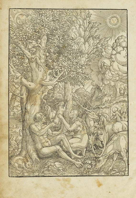  Biblia germanica inferior - Biblia germanica Inferior - Altre immagini