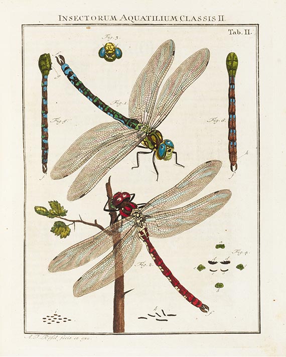 Augustin Johann Rösel von Rosenhof - Insecten-Belustigung. 4 Bände