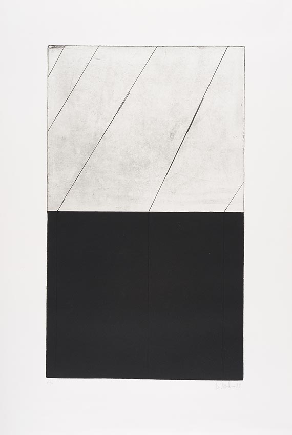 Brice Marden - Adriatics - Altre immagini