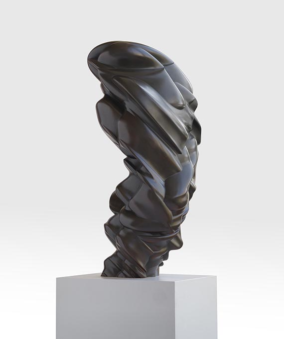 Tony Cragg - After We've Gone