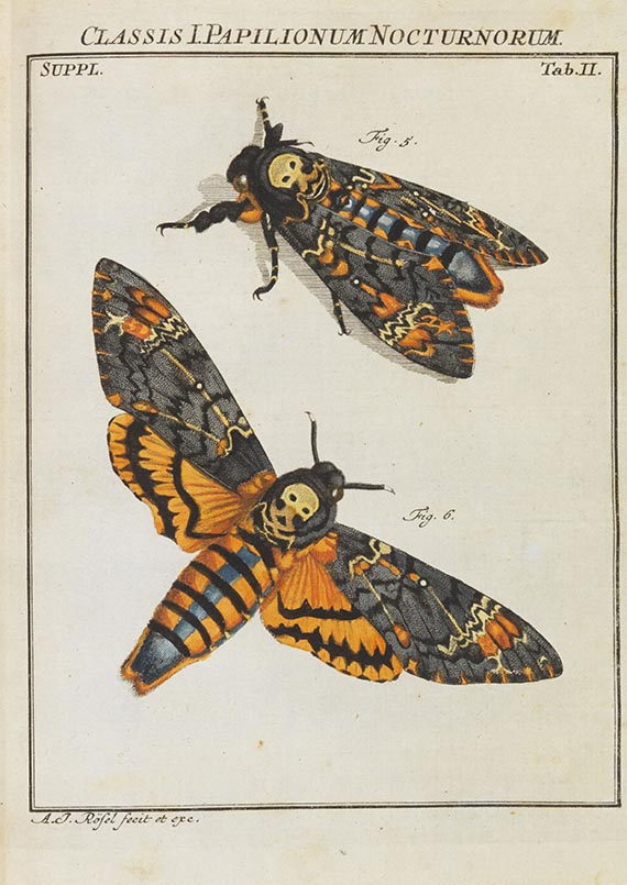 August Johann Rösel von Rosenhof - Der monatlich-herausgegebenen Insecten-Belustigung - Altre immagini