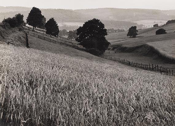 Albert Renger-Patzsch - Bilder aus der Landschaft zwischen Ruhr und Möhne. Mit 1 Orig.-Fotografie