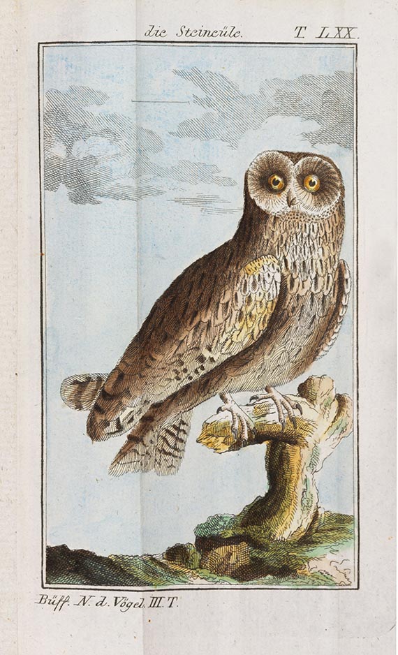 Georges Louis Leclerc Buffon - Naturgeschichte der Vögel