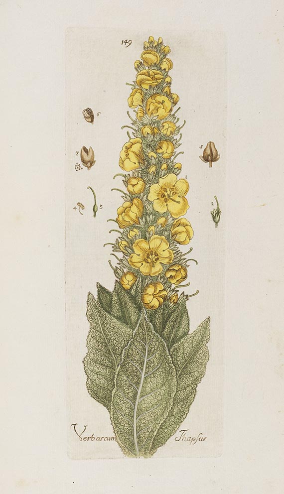 Andreas Friedrich Happe - Botanica pharmaceutica. Bde. II und IV (von 6)