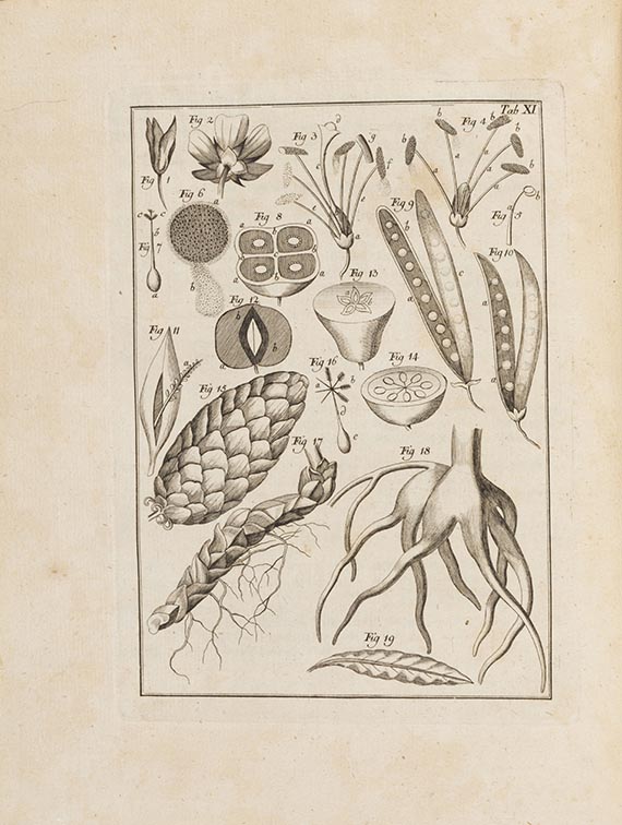 Franz Hermann Heinrich Lueder - Botanischpraktische Lustgärtnerey