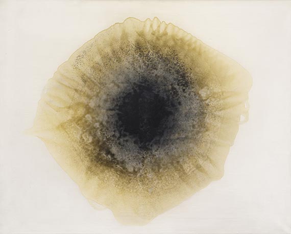 Piene - Feuerblume