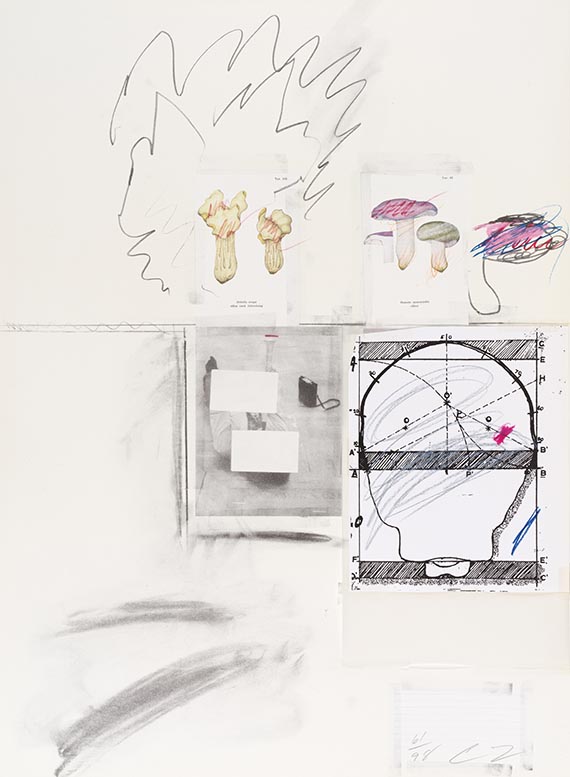 Cy Twombly - Natural History Part I, Mushrooms - Altre immagini