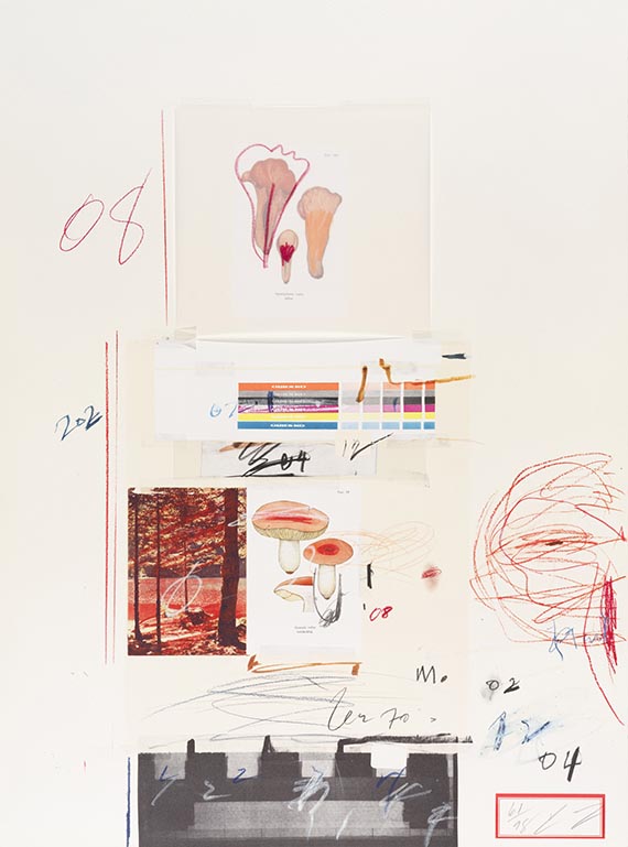 Cy Twombly - Natural History Part I, Mushrooms - Altre immagini