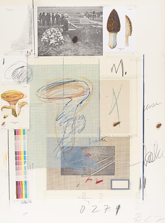 Cy Twombly - Natural History Part I, Mushrooms - Altre immagini