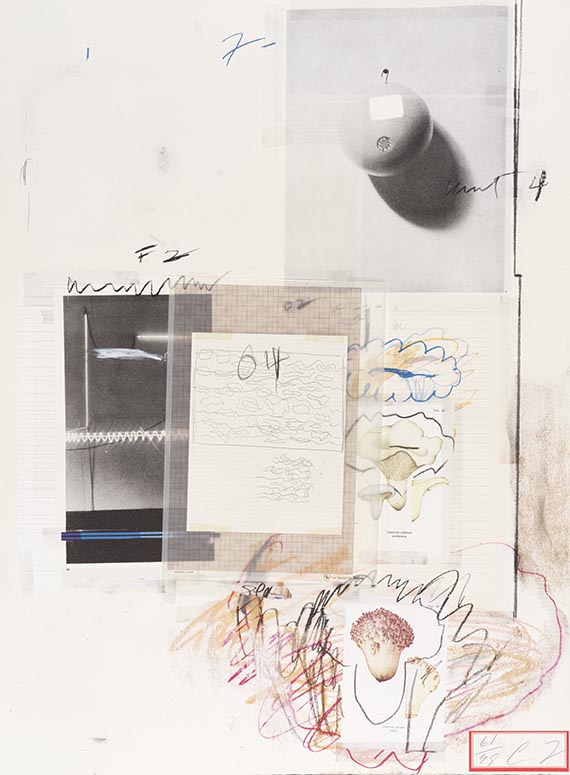 Cy Twombly - Natural History Part I, Mushrooms - Altre immagini
