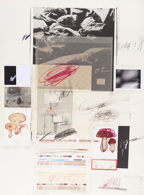 Cy Twombly - Natural History Part I, Mushrooms - Altre immagini