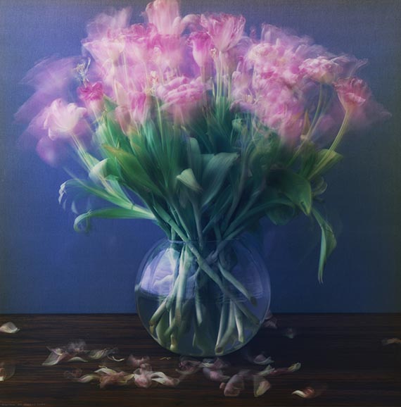 Michael Wesely - Stillleben (1.3. - 8.3.2011)